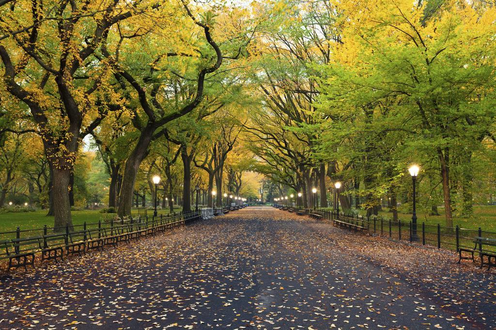 Hudson Central Park, A Morgans Hotel Нью-Йорк Экстерьер фото